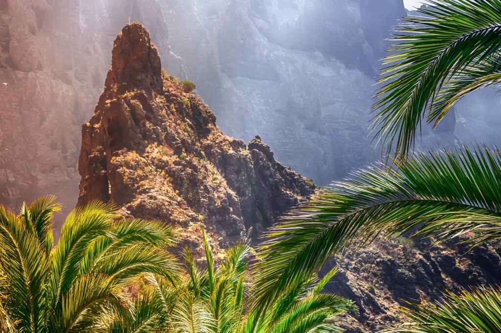 Palm Tree Dream Interpretation